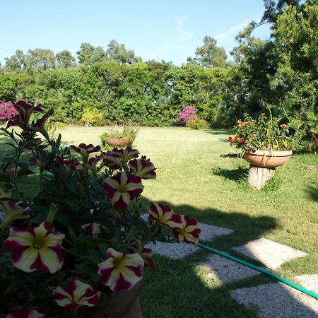 B&B Nel Giardino In Fiore Olia Speciosa Exterior foto