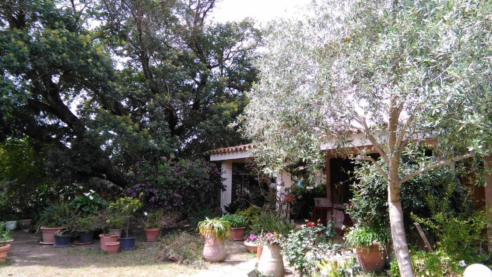 B&B Nel Giardino In Fiore Olia Speciosa Exterior foto