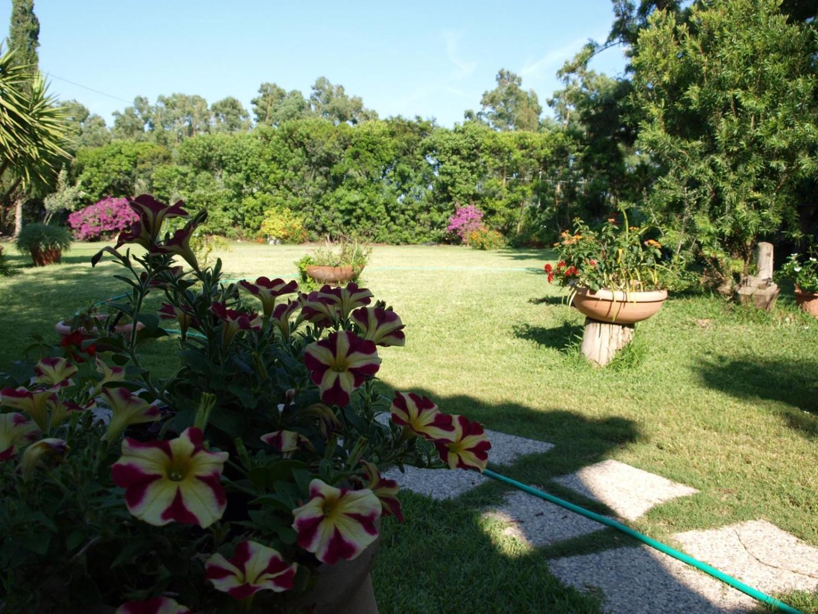 B&B Nel Giardino In Fiore Olia Speciosa Exterior foto