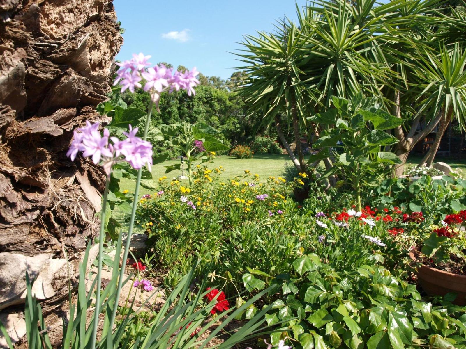 B&B Nel Giardino In Fiore Olia Speciosa Exterior foto