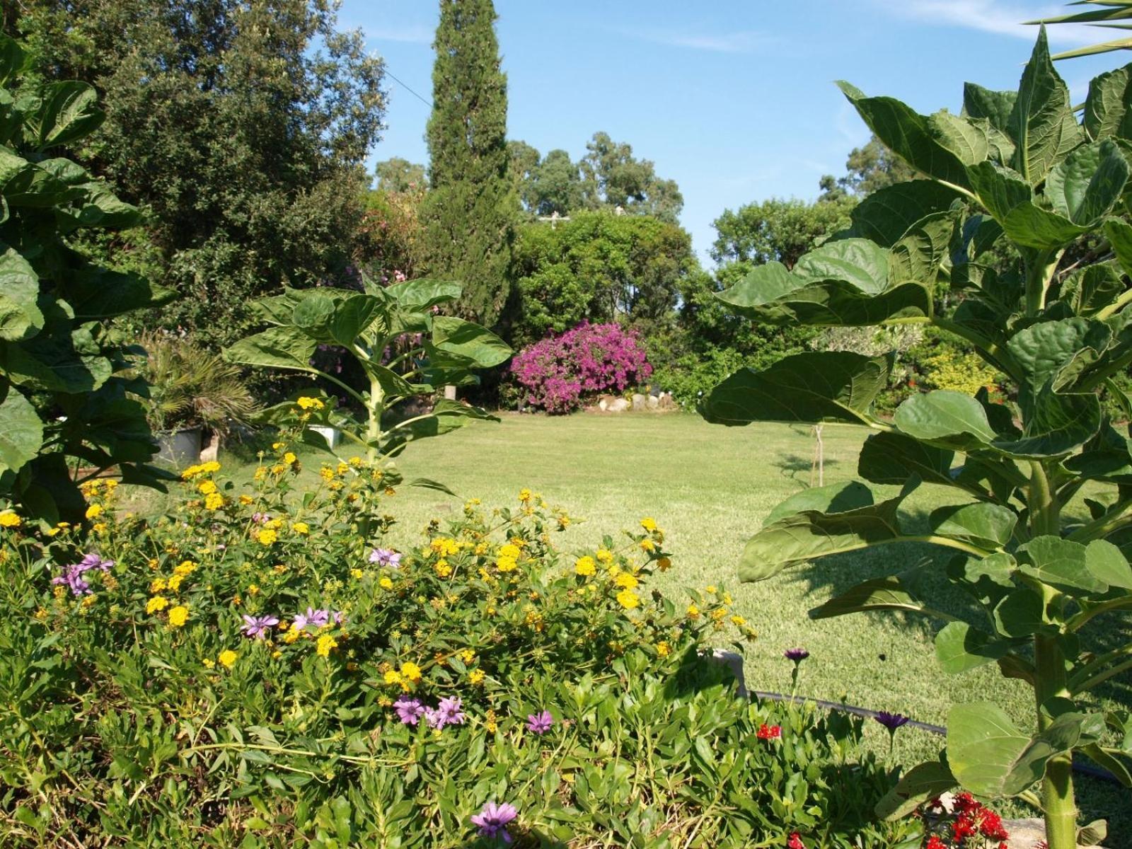 B&B Nel Giardino In Fiore Olia Speciosa Exterior foto