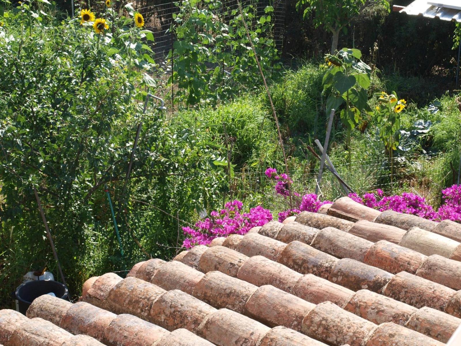 B&B Nel Giardino In Fiore Olia Speciosa Exterior foto